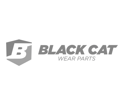 BLACK CAT