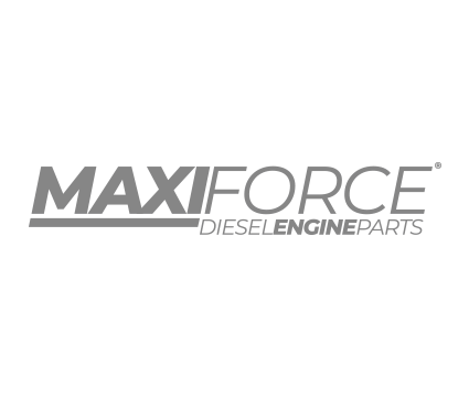 LOGO MAXIFORCE